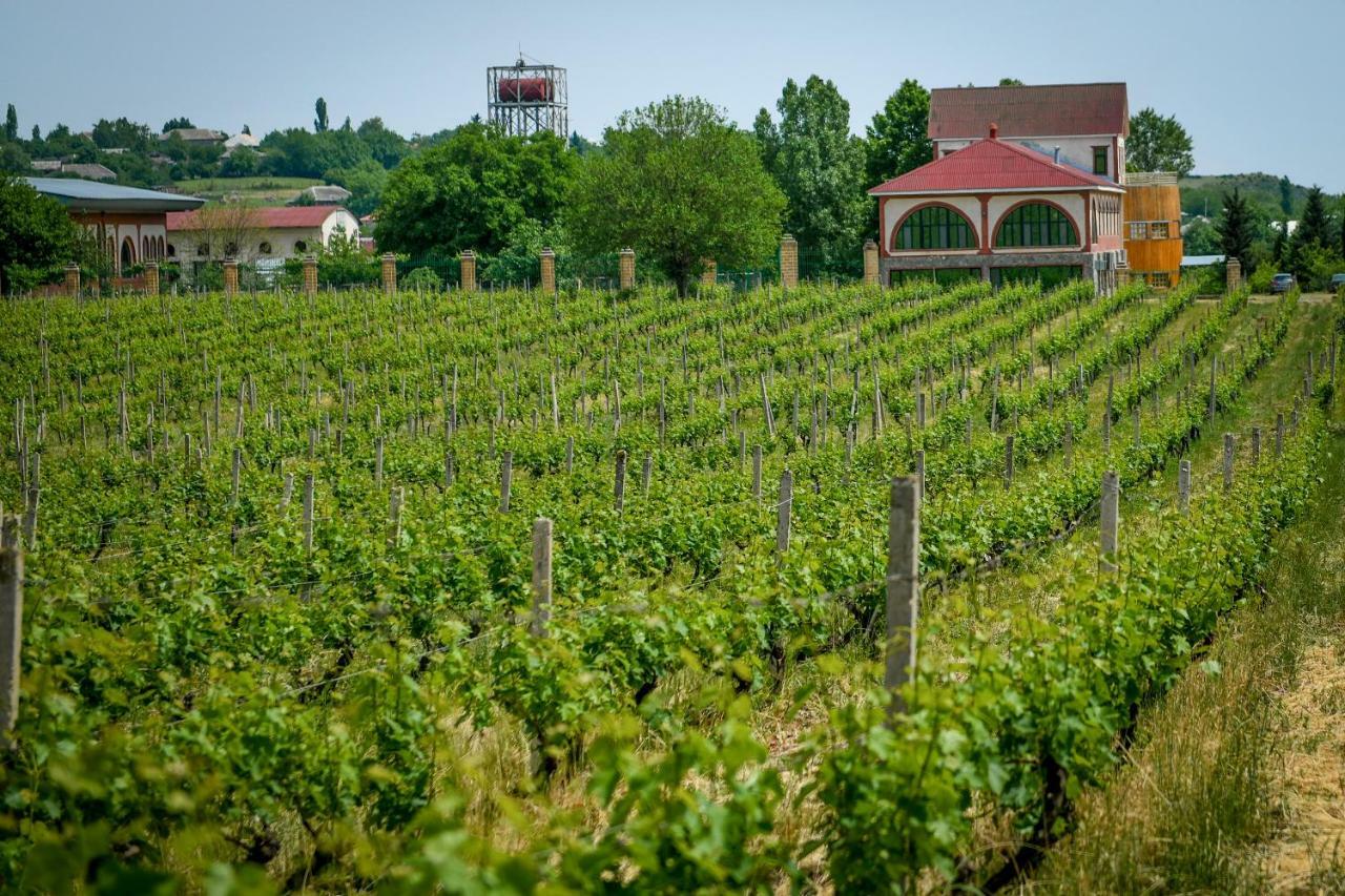 Chabiant Guesthouse Chateau Monolit Ikinci Yeniyol Eksteriør bilde